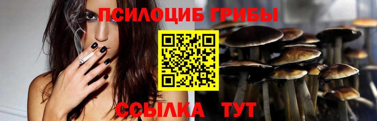 Улан-Удэ  Галлюциногенные грибы мухоморы  Вход с VPN  Галлюциногенные грибы мицелий 