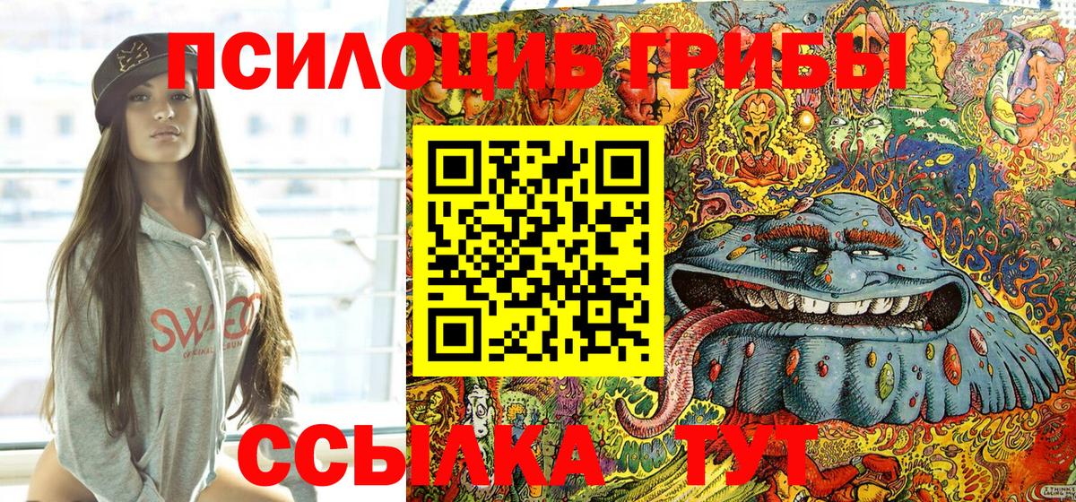 Псилоцибиновые грибы Улан-Удэ